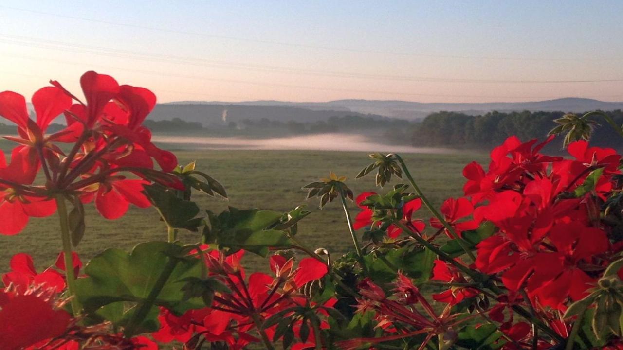 Waldhotel Dierdorf Dış mekan fotoğraf