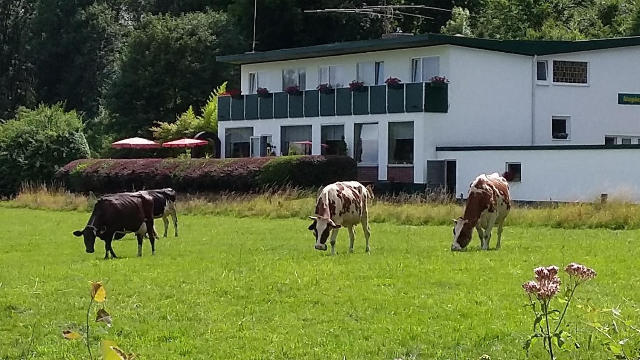 Waldhotel Dierdorf Dış mekan fotoğraf